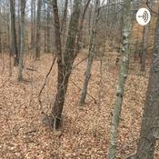 Podcast Self Sufficiency With Chris and Steve