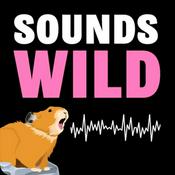 Podcast Sounds Wild