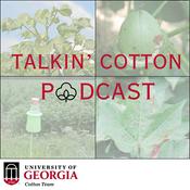 Podcast Talkin' Cotton Podcast