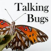 Podcast Talking Bugs
