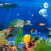 Podcast Animais Marinhos