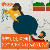 Podcast ትምህርቲ ቋንቋ እንግሊዝኛ ኣብ ኤስ ቢ ኤስ