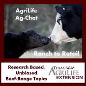Podcast Texas A&M AgriLife Ranch to Retail