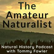 Podcast The Amateur Naturalist