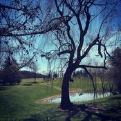 Podcast The American Nightmare Podcast