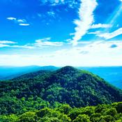 Podcast The Appalachian Homestead