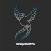 Podcast The Travelers Guide to Media