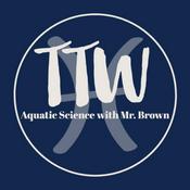 Podcast Teaching the Waves