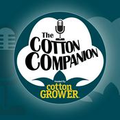 Podcast The Cotton Companion