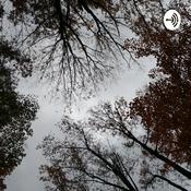 Podcast The Dark Forest Podcast
