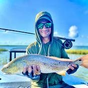 Podcast The Empty Stringers Podcast