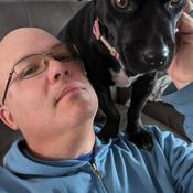 Podcast The Postal Stand-up