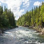 Podcast The Red Deer River
