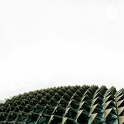 Podcast The States Matter And The Forces That Act Upon Them