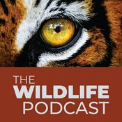 Podcast The Wildlife Podcast with Laurel Neme and Jeffrey Barbee