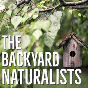 Podcast The Backyard Naturalists