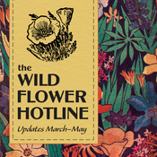 Podcast The Wild Flower Hotline