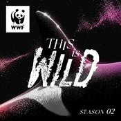 Podcast This is Wild