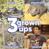 Podcast Three Grown Ups