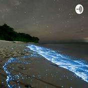 Podcast Tide & Flow