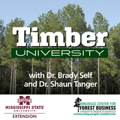 Podcast Timber University