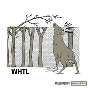 Podcast The WHTL Podcast - Whitetail Deer Hunting Tactics, Stories & Expert Guests