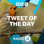 Tweet of the Day