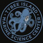 Podcast Tybee Island Marine Science Center Podcast