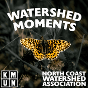 Podcast Watershed Moments