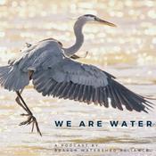 Podcast We Are Water