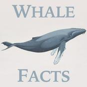Podcast Whale Facts