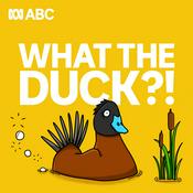 Podcast What The Duck?!