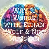 Podcast Why It Works with Ethan Wolf &amp; Niv Moussan