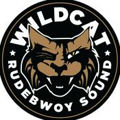 Podcast Wildcat Sound Mixes