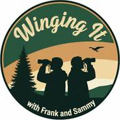 Podcast Winging It with Frank and Sammy!