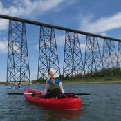 Podcast Working With Woes