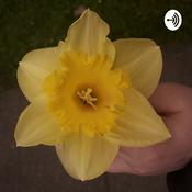 Podcast WORLD PROBLEMS