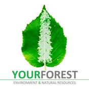 Podcast YourForest