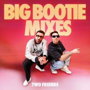 Big Bootie Mixes Vol. 1-26  - Two Friends