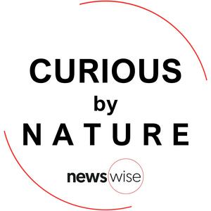 Curious by Nature