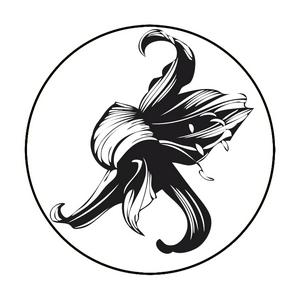 DeepRAW - "Deep & Abstract Music"
