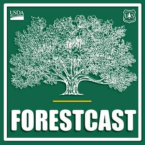 Forestcast