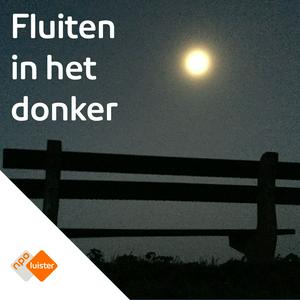 Hoorspel : Fluiten in het donker