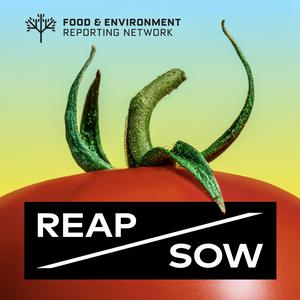 Listen to BUZZKILL, presented by REAP/SOW in the App