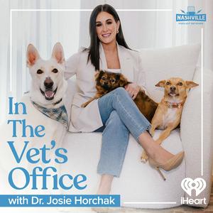 In The Vet's Office with Dr. Josie Horchak