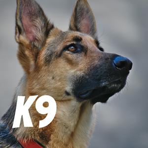 K9