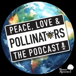 Listen to Peace, Love and Pollinators in the App