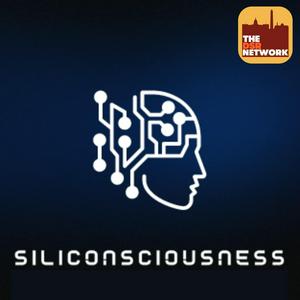 DSR's Siliconsciousness