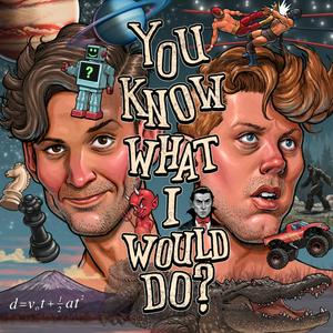 You Know What I Would Do